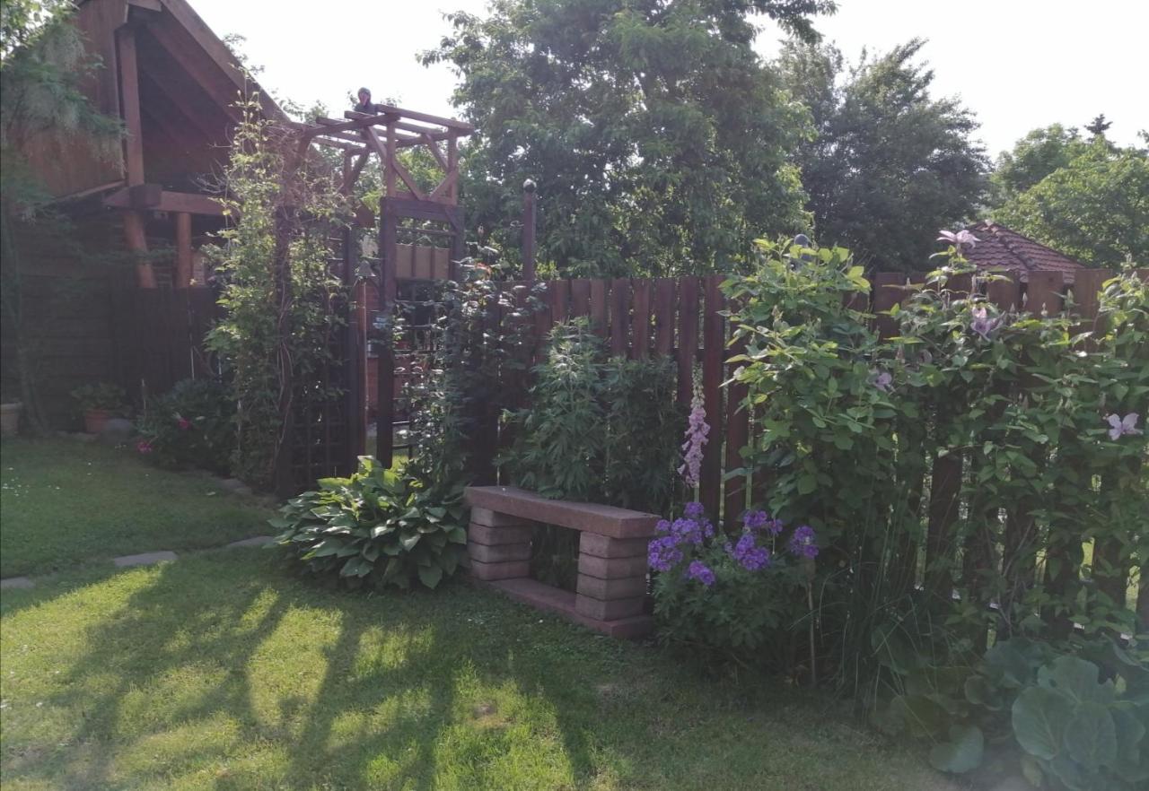 Harzgenuss Apartment