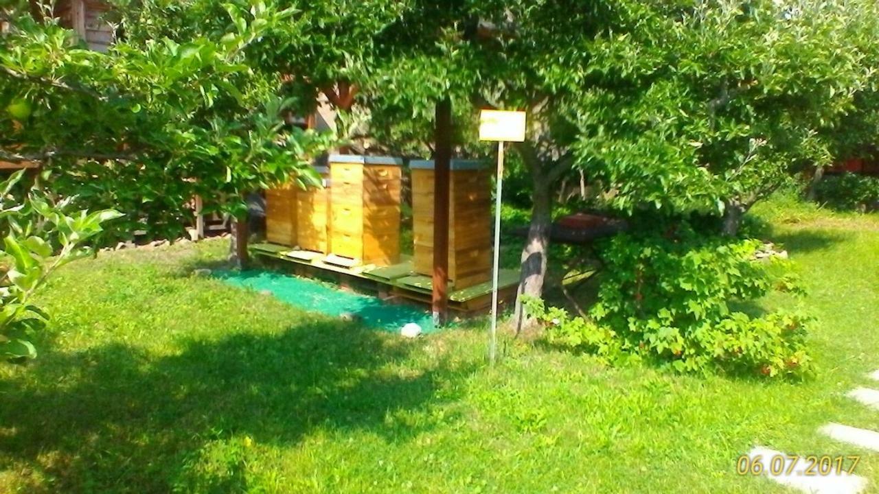 Harzgenuss Apartment